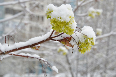 Будет холоднее: синоптики рассказали о зиме в этом году