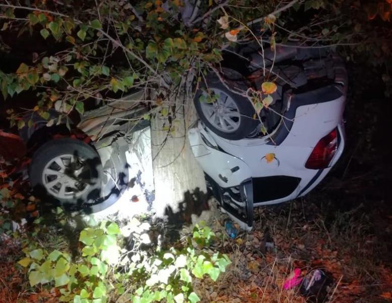 При столкновении "Калины" с деревом в Тольятти погибли 2 человека