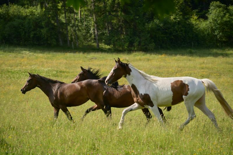 Народные приметы на 31 августа 2025 года: что нельзя делать в этот день