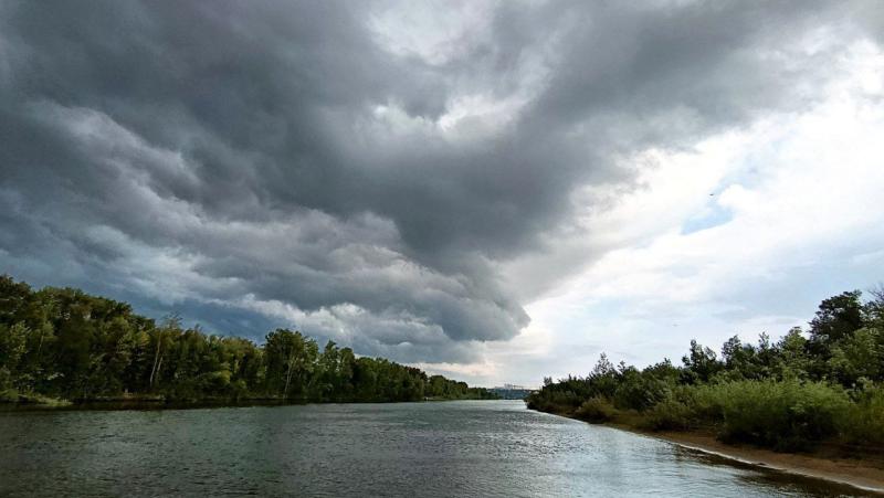 В России нашли уникальный зуб кита с лапами, жившего 37 млн лет назад