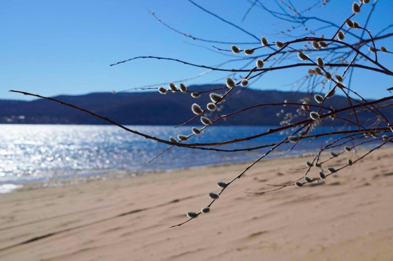 Погода на 13 апреля 2025 года: народные приметы и прогноз синоптиков