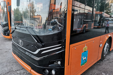 В Самаре восстановили движение по улице Мичурина после обрушения дерева