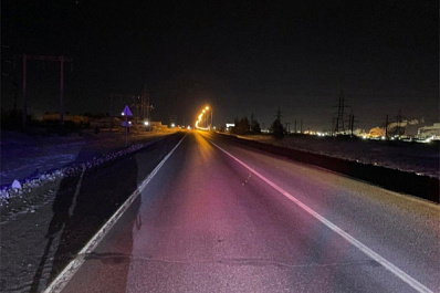 Житель Самарской области перебегал трассу и попал под машину