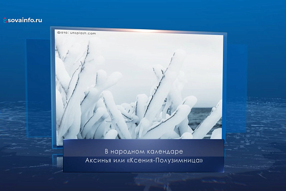 Аксиньин день. Календарь Губернии от 6 февраля