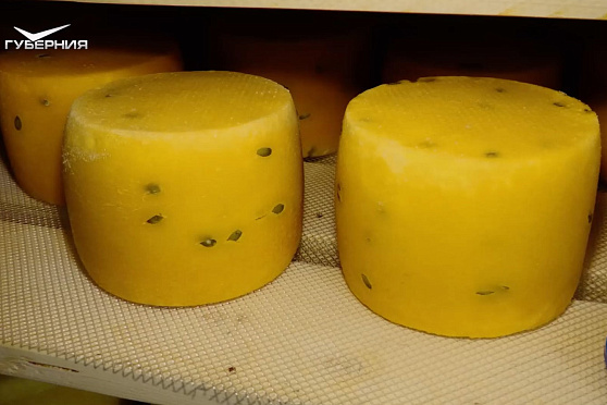 Семейная сыроварня. Агрокурьер