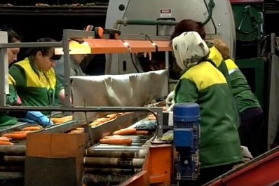 Самарские аграрии освоили технологию глубокой переработки овощей