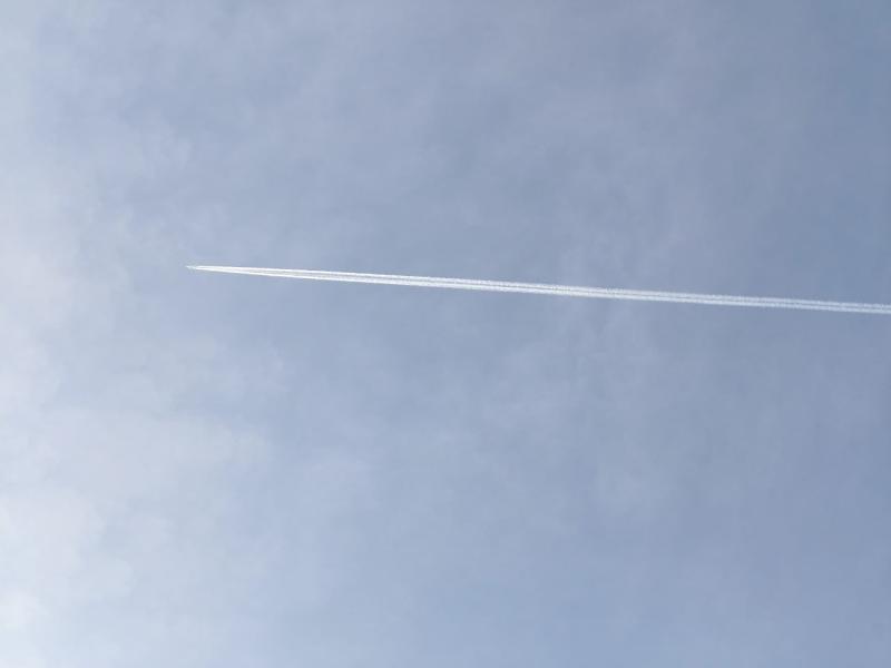 В ноябре из Самарской области возобновили прямые рейсы на острова