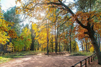 В Бузулукском бору открылся новый благоустроенный маршрут