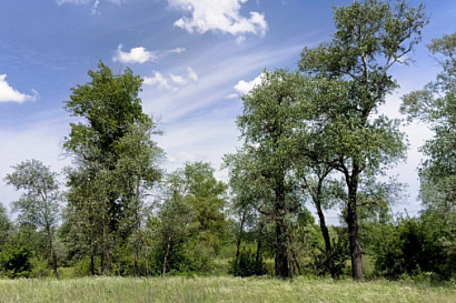 Название статьи