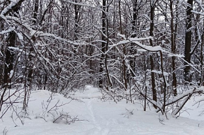 В Самарской области 17 декабря ожидаются снежные заносы и метель