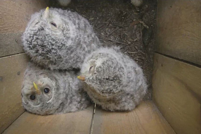 Название статьи