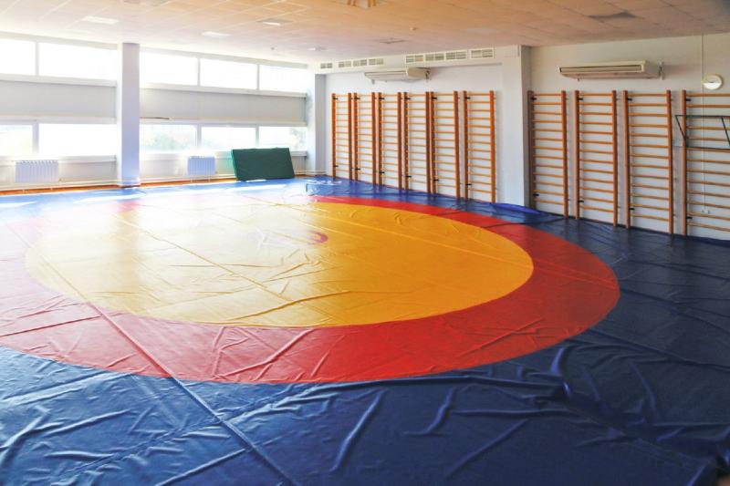 В Самаре пройдут всероссийские соревнования "Киокушин на Волге"