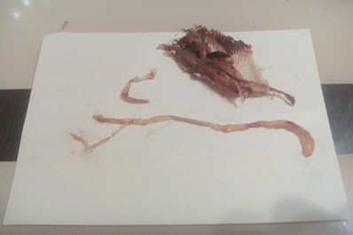 Сызранский рыбак нашёл в рыбе ужасный сюрприз