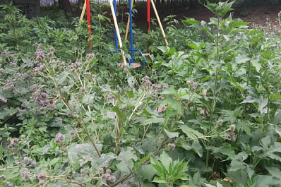 В Самаре детская площадка превратилась в "джунгли"