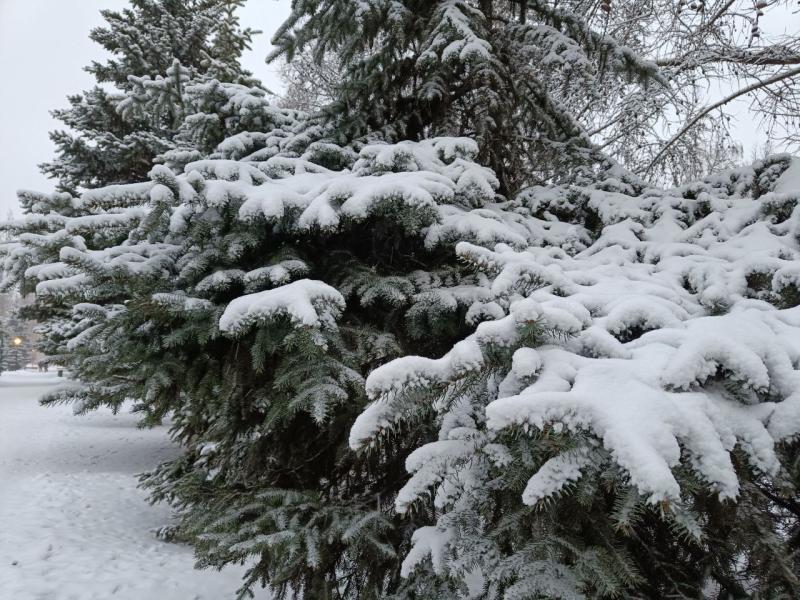 8 января в Самарской области будет морозно, облачно и без осадков