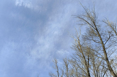 В Самарской области 4 апреля ожидается сильный ветер