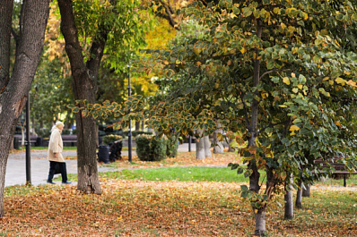 10 октября: День психического здоровья и шуршания листьями