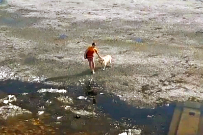 В Тольятти школьник спас с дрейфующей льдины свою собаку