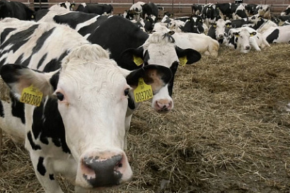 Название статьи