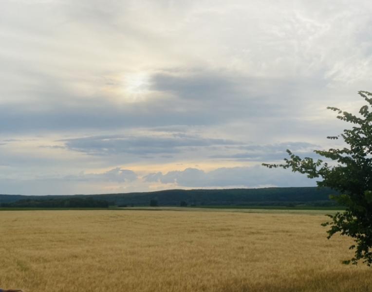 Жителей области сегодня предупреждают о сильном ветре и дожде 