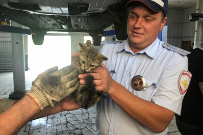 Тольяттинские полицейские спасли котенка