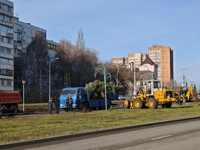 В Самаре высаживают ели вдоль дороги по улице Ташкентской