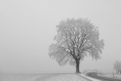 В Самарской области объявили жёлтый уровень опасности из-за тумана