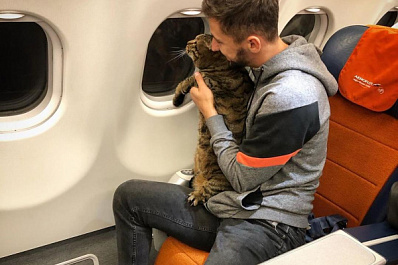 Самарцы поддержали упитанного кота Виктора и его хозяина