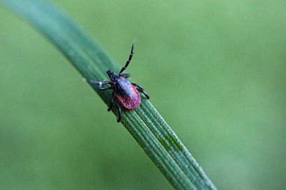 Название статьи
