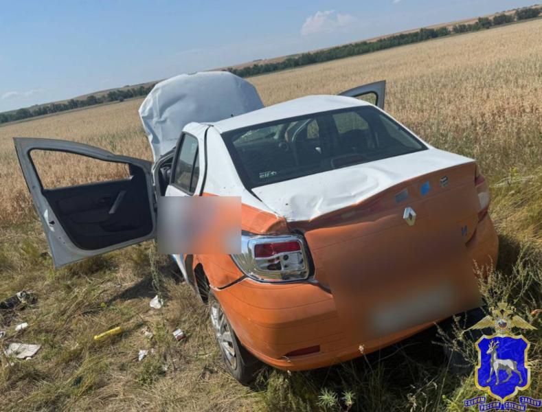 В Самарской области водитель на "Рено" улетел с дороги в поле