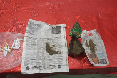 В Самарской области 40-летний мужчина выращивал во дворе дома коноплю