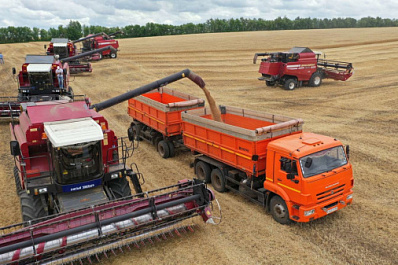 В Самарской области 8 районов вступили в уборочную кампанию