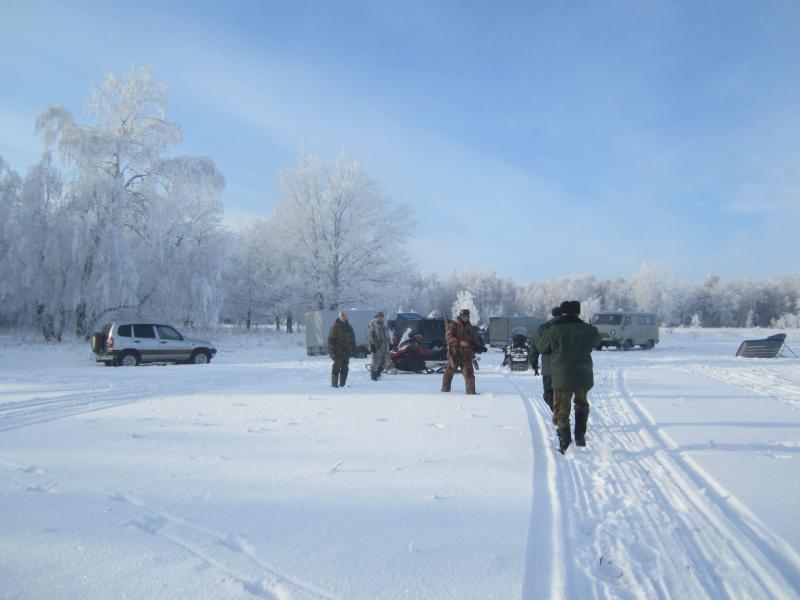 В Самарской области ищут убийц двух лосей