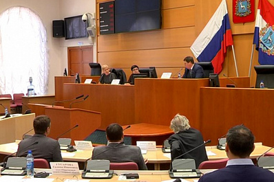 В Самарской губдуме обсудили первые результаты перехода на новую систему обращения с ТКО