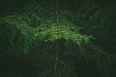 Погода на 28 сентября 2025 года: народные приметы и прогноз синоптиков