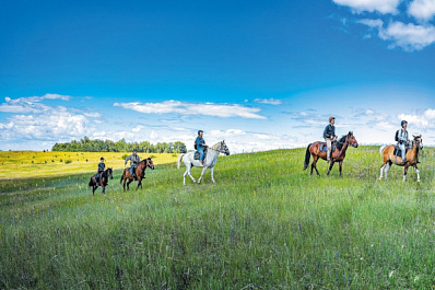 Как поддержка властей способствует развитию отрасли гостеприимства
