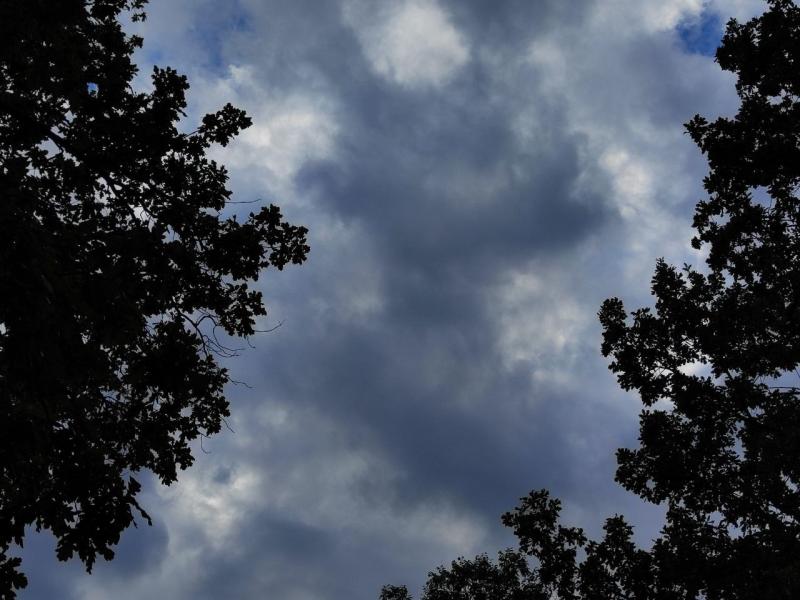 В городах Самарской области объявили неблагоприятные метеоусловия 1-й степени до 5 октября