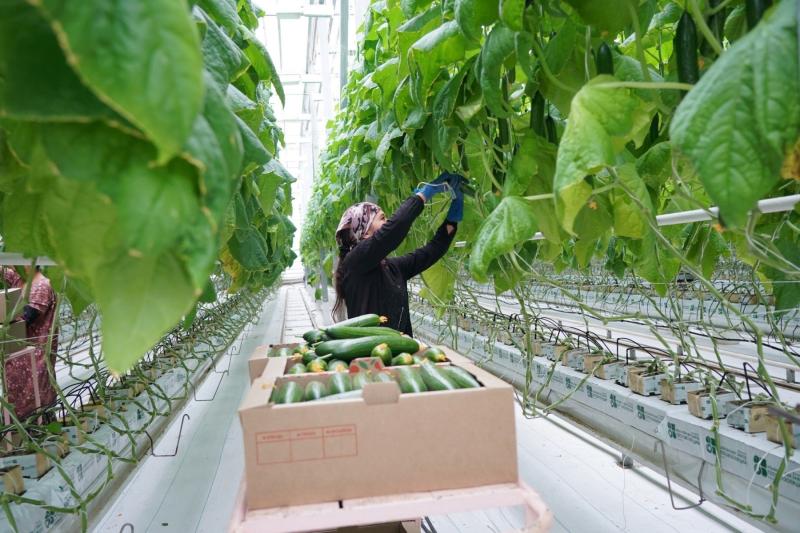 В Самарской области первые участники федерального проекта "Кадры в АПК" получили меры господдержки