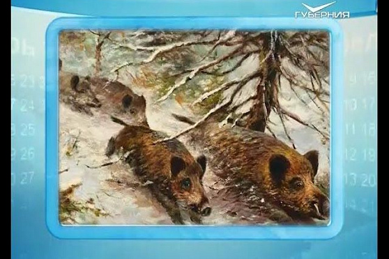 Календарь губернии 12.01.2016