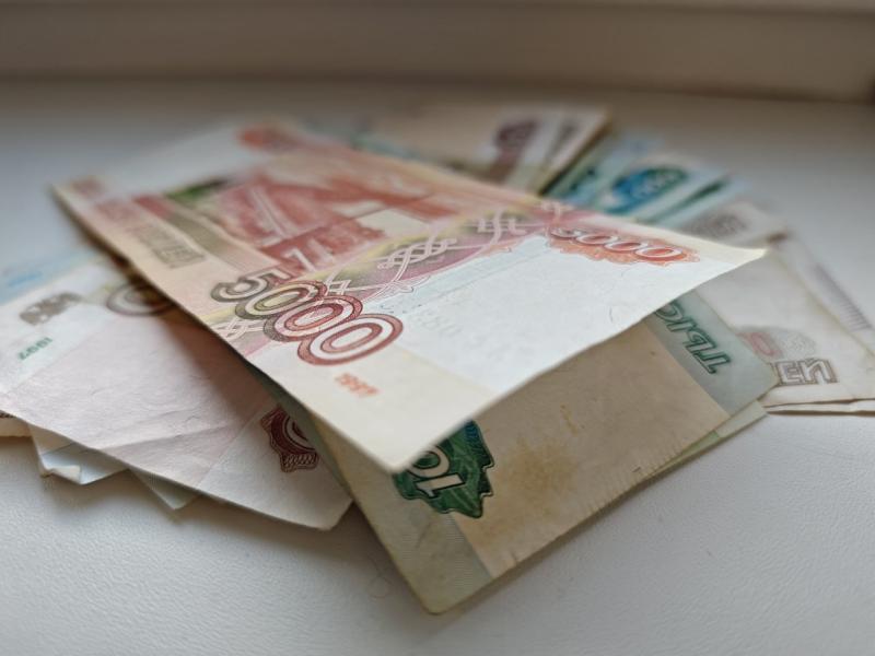 В Самарской области осудили женщину, не платящую алименты детям