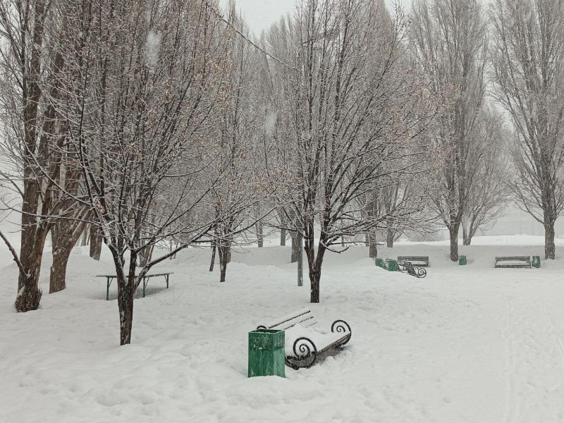 Стало известно, когда в Самарской области будет мороз и снег