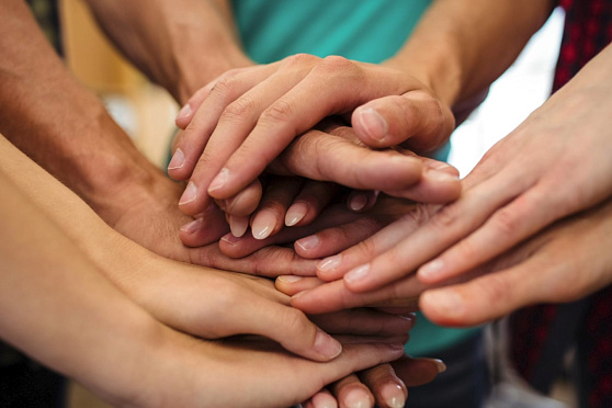 День друзей. Утро Губернии