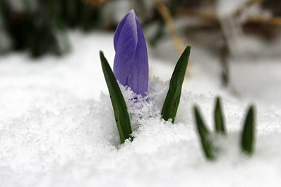 Стало известно, какая погода ждёт Самарскую область в марте