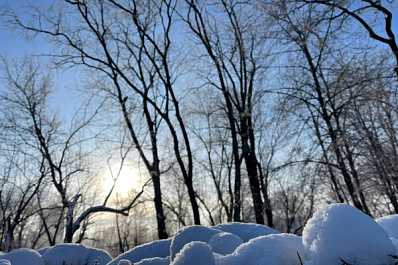 В Самарской области 13 января объявили желтый уровень опасности из-за сильного снега