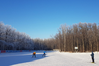 Лыжероллерную трассу в Самаре начнут строить в 2021 году