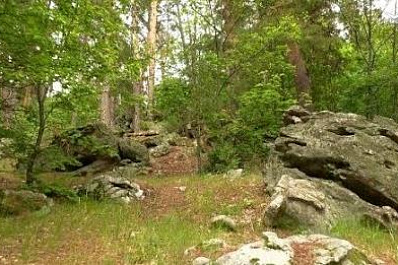 Сохранить природу в регионе помогут некоммерческие организации 