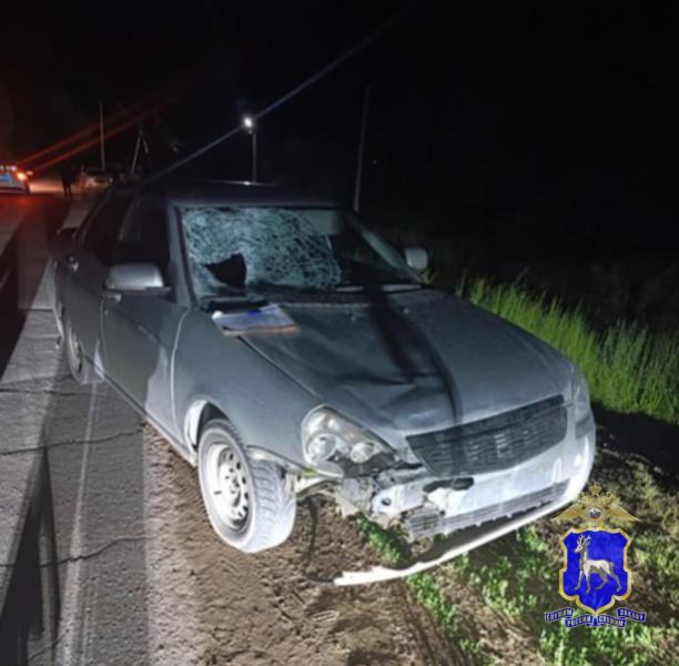 В Самарской области 20-летняя девушка сбила двух подростков