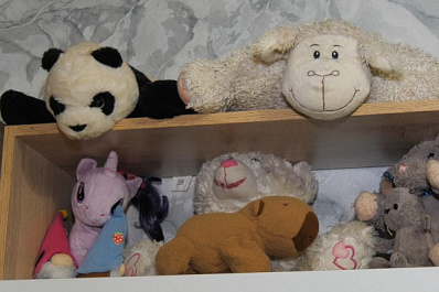 В Самарской области проект 