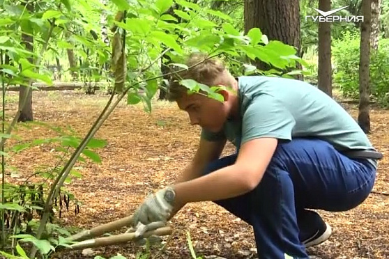 Ольга Ахременко. Народное признание