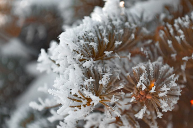 Впервые за 82 года: в Самарской области прогнозируют аномальные морозы